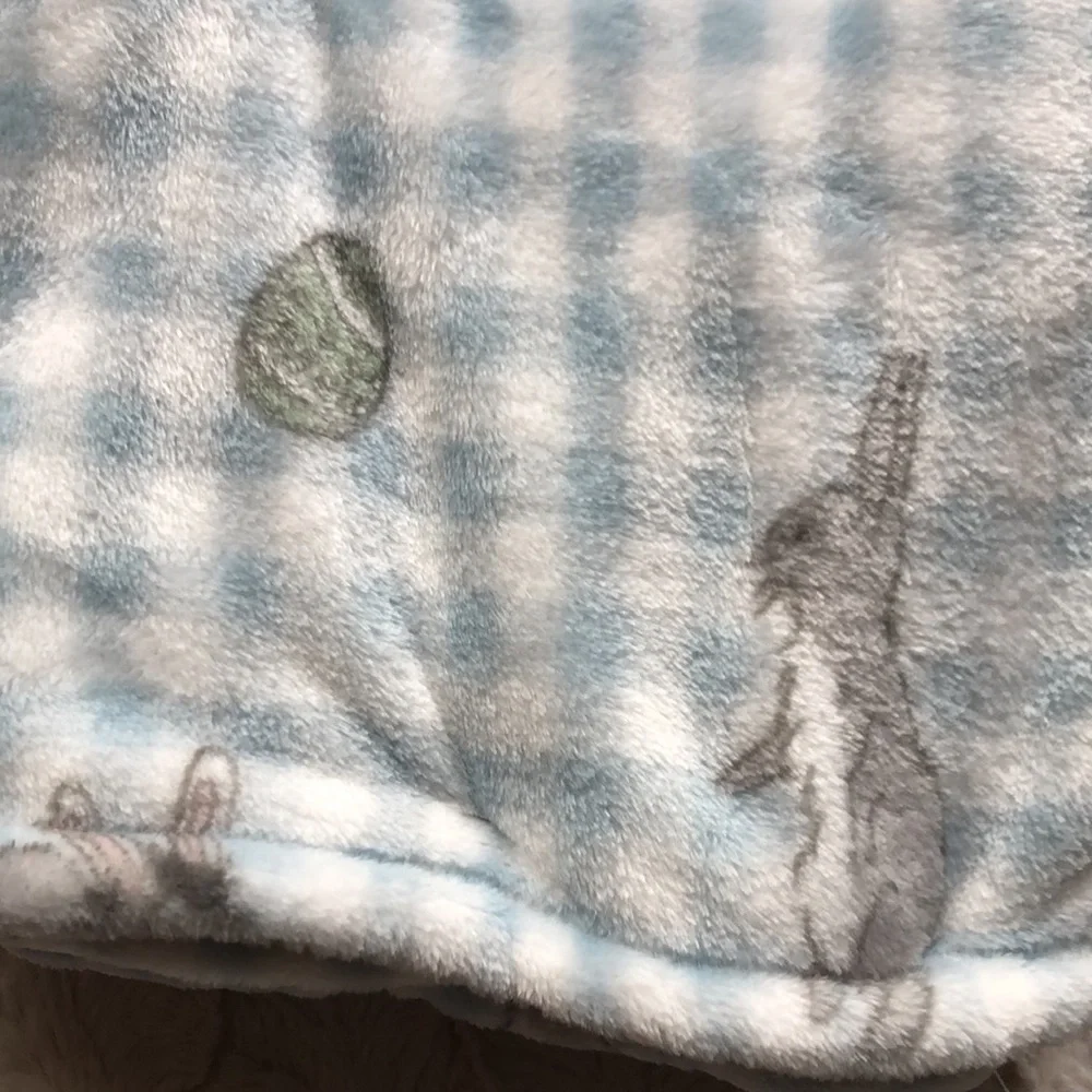 Winnie the Pooh and Friends EASTER Baby Blanket